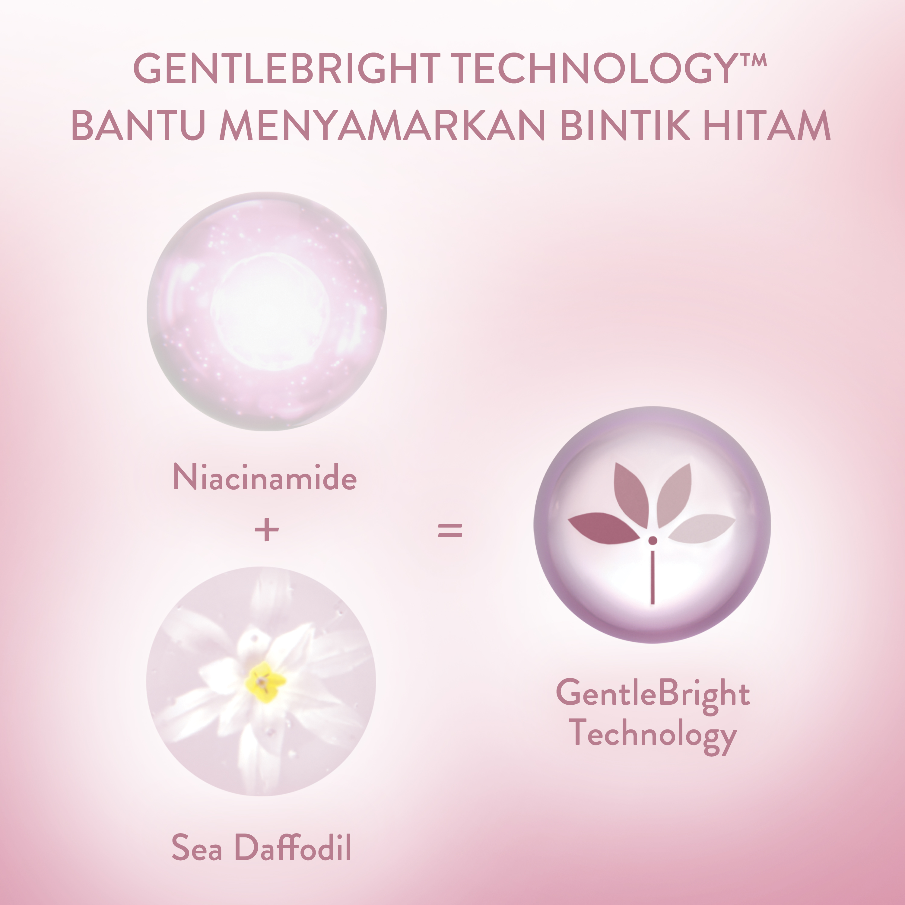 Cetaphil Bright Healthy Radiance Brightening Night Comfort Cream 
                    Ingredients